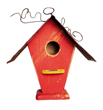 Tweedy Bird House handmade by artist David Bruce ($50 at Seed in Des Moines). Birds of a feather will flock together in  this traditional single-family birdhouse with curb appeal. Wood with a metal roof—and great views!