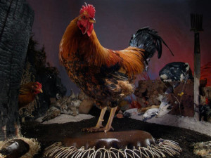 Matthew Hemminghaus won an award of excellence at last year's Des Moines Arts Festival, where his fetching photos of the roosters and hens he raises on his Missouri farm drew raves. He'll return to the 2016 festival, for which he also served as a juror last week, along with Ames artist Kathranne Knight, Colorado artist Lynda Ladwig, Visionary Services co-owner David Safris and dsm Editor Christine Riccelli.