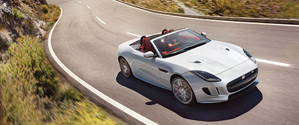 A sleek style, an unbridled exhaust system and impeccable handling make the Jaguar F-Type a thrill to drive.