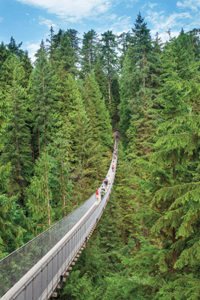 Breathtaking views are also available on the Capilano Suspension Bridge, which crosses a nearby forest. 