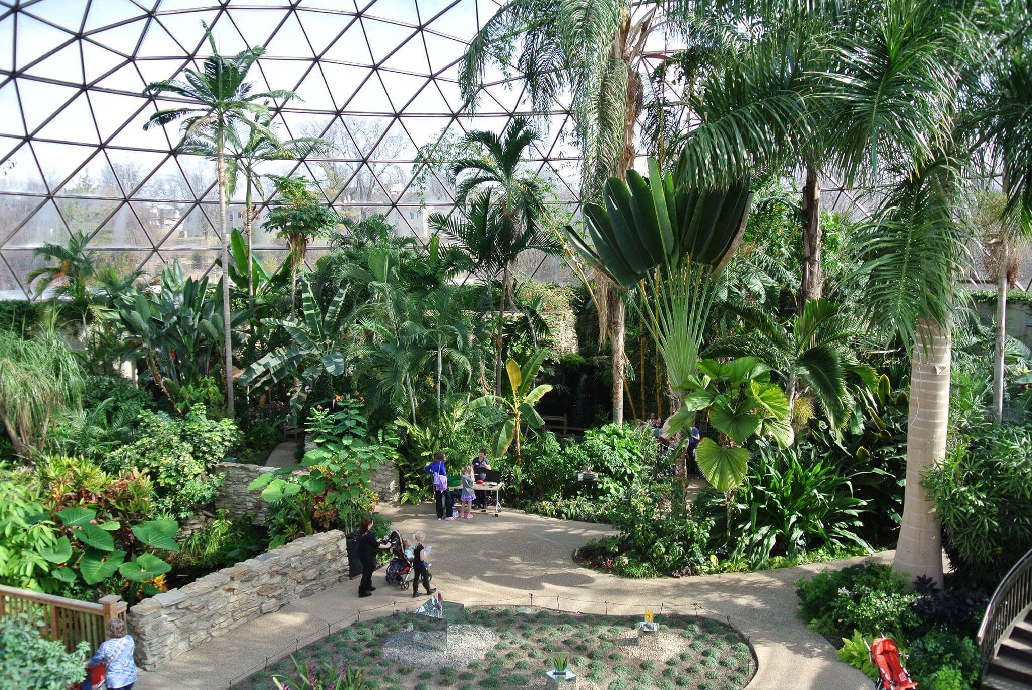 Botanical Garden Reopens Indoor Spaces Dsm Magazine