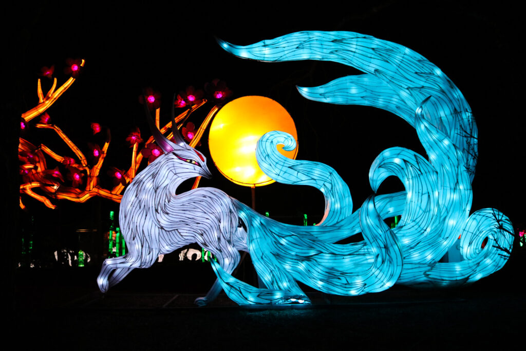 Blank Park Zoo’s Wild Lights Festival Shines Again dsm magazine